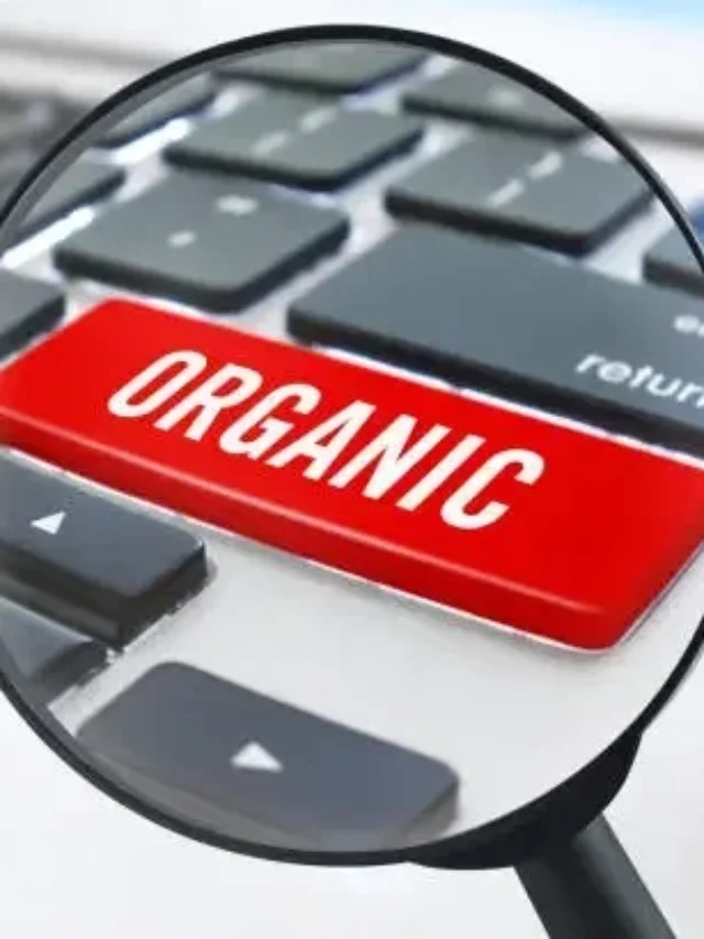 organic search engine optimization